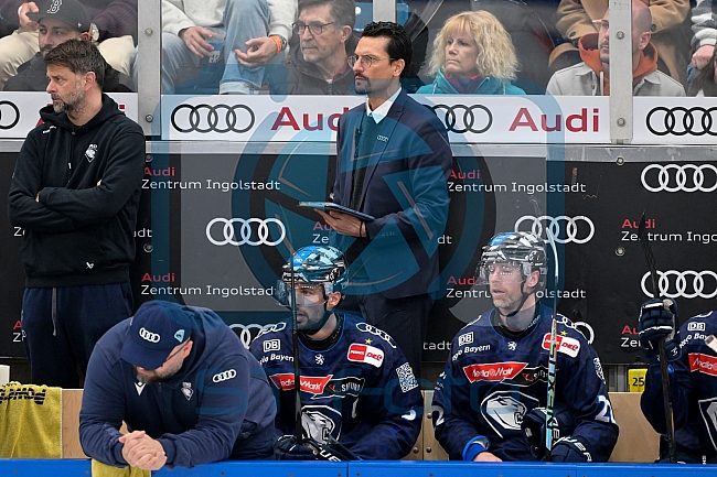 Eishockey, Herren, DEL, Saison 2024-2025, Playoffs Halbfinale, Spiel 1, ERC Ingolstadt - Kölner Haie, 02.04.2025