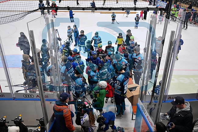 Eishockey, Herren, DEL, Saison 2022-2023, ERC Ingolstadt - Kids On Ice Day, 14.01.2023