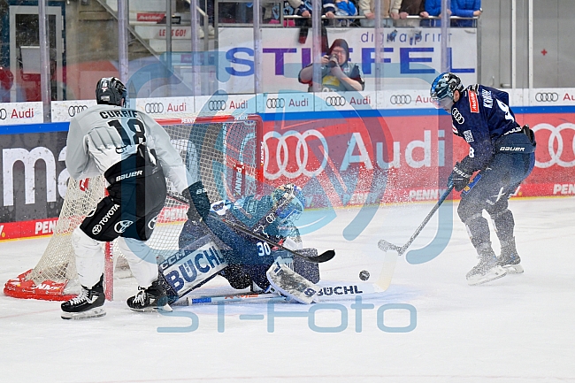 Eishockey, Herren, DEL, Saison 2024-2025, Playoffs Halbfinale, Spiel 5, ERC Ingolstadt - Kölner Haie, 11.04.2025