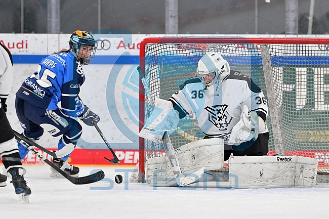 Eishockey, Frauen, DFEL, Saison 2023-2024, ERC Ingolstadt - Amsterdam Tigers, 06.01.2024