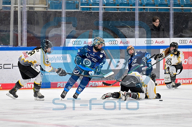 Eishockey, Frauen, DFEL, Saison 2024-2025, ERC Ingolstadt - Mad Dogs Mannheim, 23.11.2024