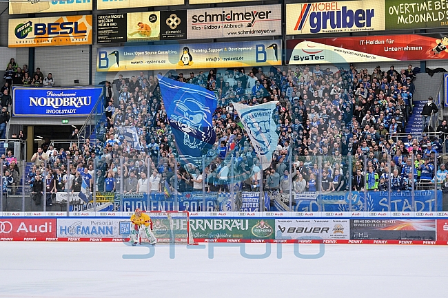 Eishockey, Herren, DEL, Saison 2022-2023, Playoff-Viertelfinale - Spiel 1, ERC Ingolstadt - Düsseldorfer EG, 15.03.2023