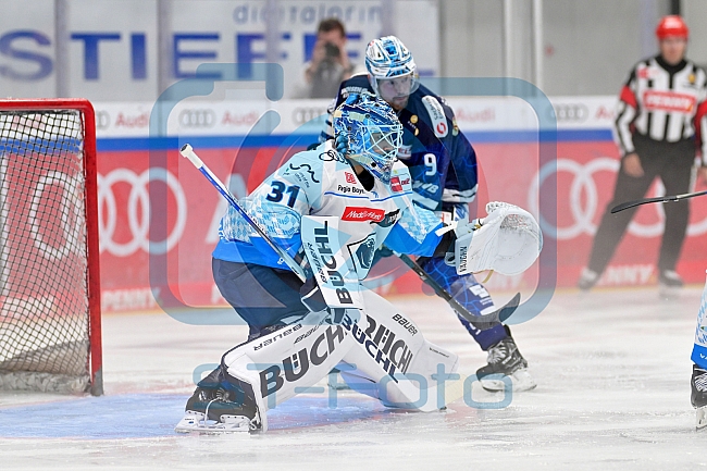 Eishockey, Herren, DEL, Saison 2024-2025, Vorbereitung, ERC Ingolstadt - Dresdner Eislöwen, 18.08.2024