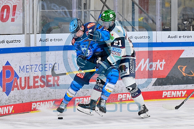 Eishockey, Herren, DEL, Saison 2025-2026, Spiel 29, ERC Ingolstadt - Eisbären Berlin, 18.12.2025