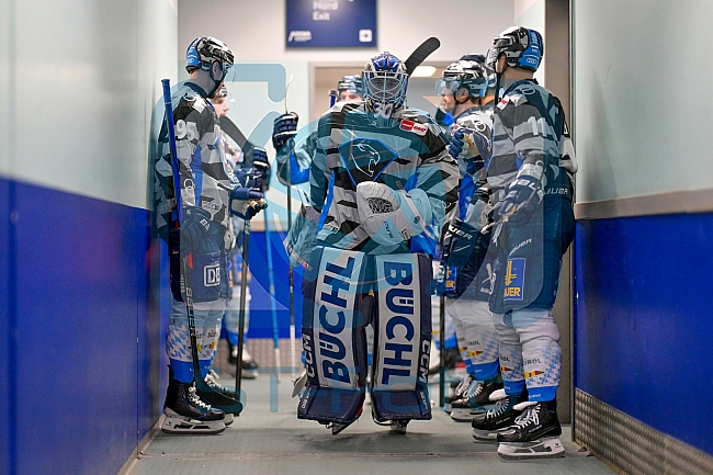 Eishockey, Herren, DEL, Saison 2024-2025, Playoffs Viertelfinale, Spiel 1, Nürnberg Ice Tigers - ERC Ingolstadt, 18.03.2025