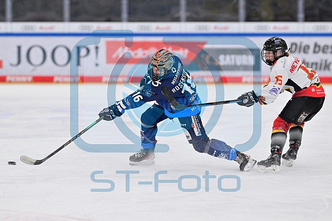 Eishockey, Frauen, DFEL, Saison 2024-2025, ERC Ingolstadt - EC Bergkamener Bären, 12.10.2024