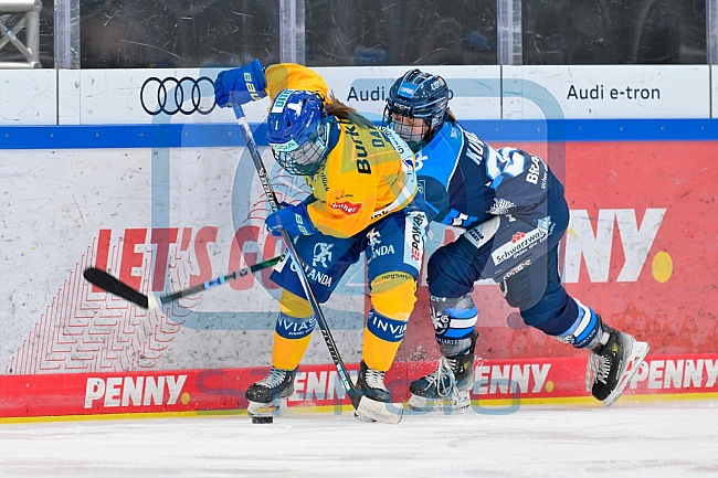 Eishockey, Frauen, DFEL, Saison 2025-2026, Testspiel, ERC Ingolstadt - HC Davos, 14.02.2026