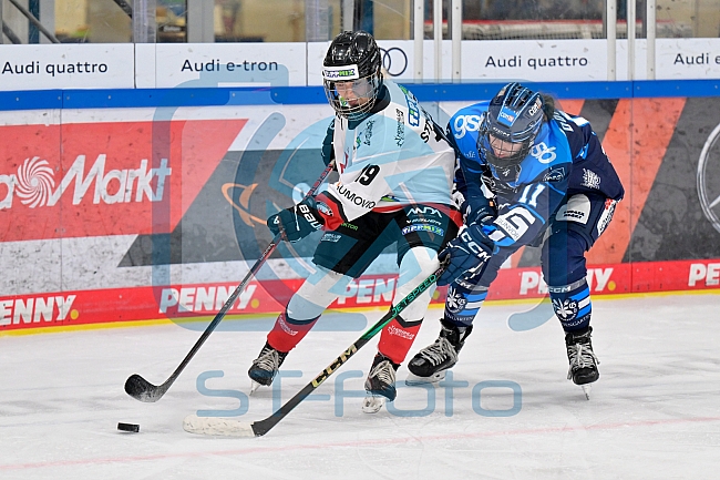 Eishockey, Frauen, DFEL, Saison 2025-2026, ERC Ingolstadt - HK Budapest, 15.11.2025