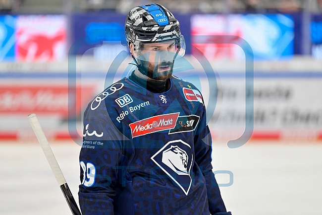 Eishockey, Herren, DEL, Saison 2024-2025, Playoffs Halbfinale, Spiel 5, ERC Ingolstadt - Kölner Haie, 11.04.2025