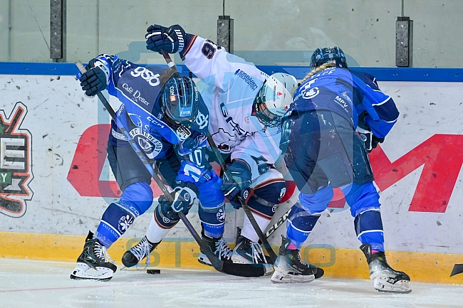 Eishockey, Frauen, DFEL, Saison 2026-2027, ERC Ingolstadt - Eisbären Juniors Berlin, 20.09.2026