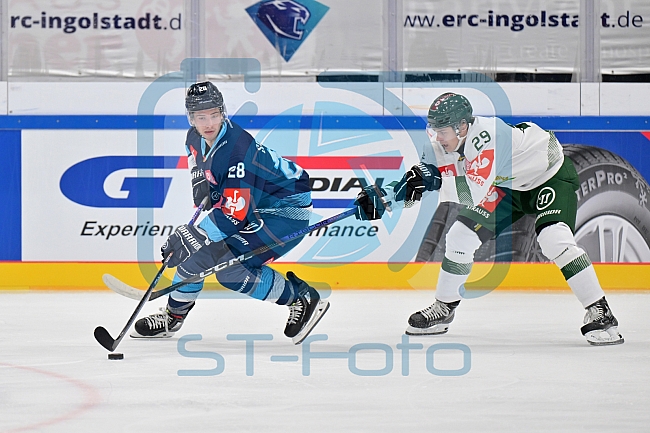 Eishockey, Mens, CHL, Season 2023-2024, ERC Ingolstadt - Färjestad Karlstad, 02.09.2023