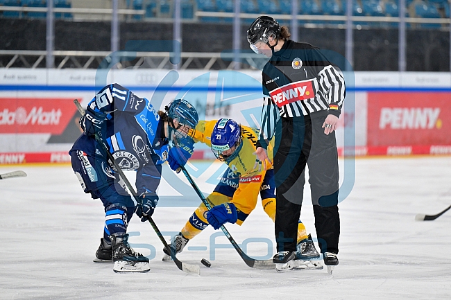 Eishockey, Frauen, DFEL, Saison 2025-2026, Testspiel, ERC Ingolstadt - HC Davos, 14.02.2026