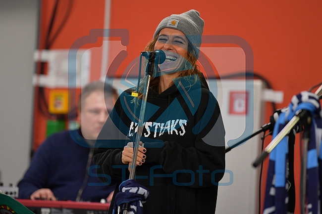 ERC Ingolstadt vs Schwenninger Wild Wings, DEL, Deutsche Eishockey Liga, Spieltag 48, 19.02.2019