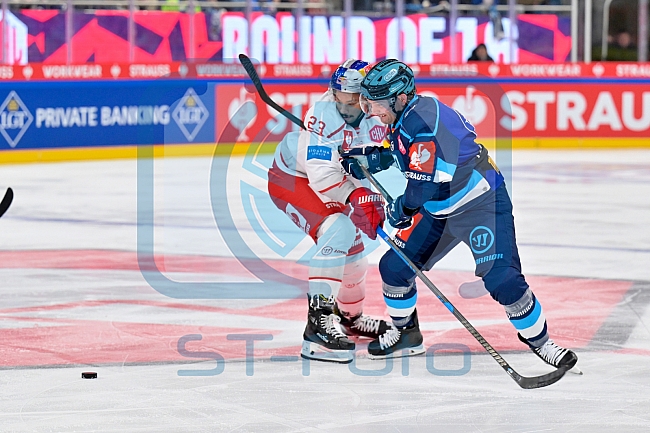 Hockey, Mens, CHL, Season 2025-2026, Regular Season, Round of 16, ERC Ingolstadt - EC Red Bull Salzburg, 12.11.2025
