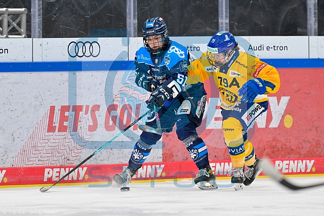 Eishockey, Frauen, DFEL, Saison 2025-2026, Testspiel, ERC Ingolstadt - HC Davos, 14.02.2026