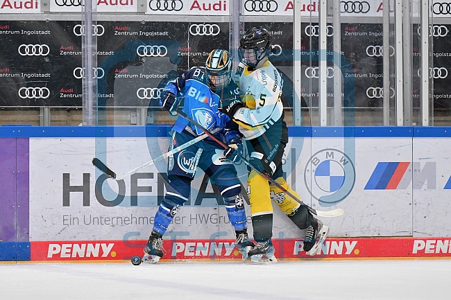 Eishockey, Frauen, DFEL, Saison 2023-2024, ERC Ingolstadt - Mad Dogs Mannheim, 18.02.2024