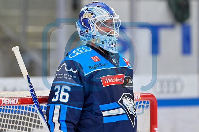 Eishockey, Herren, DEL, Saison 2025-2026, Spiel 44, ERC Ingolstadt - Dresdner Eislöwen, 27.01.2026