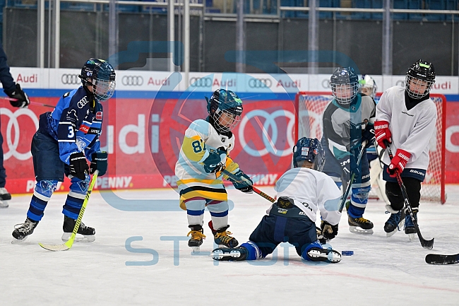 Eishockey, Herren, DEL, Saison 2023-2024, ERC Ingolstadt - Kids on Ice Day, 18.11.2023