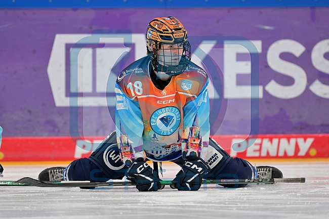 Eishockey, Frauen, DFEL, Saison 2024-2025, ERC Ingolstadt - Eisbären Berlin, 15.02.2025
