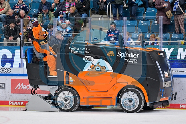 Eishockey, Herren, DEL, Saison 2025-2026, Spiel 21, ERC Ingolstadt - Pinguins Bremerhaven, 23.11.2025