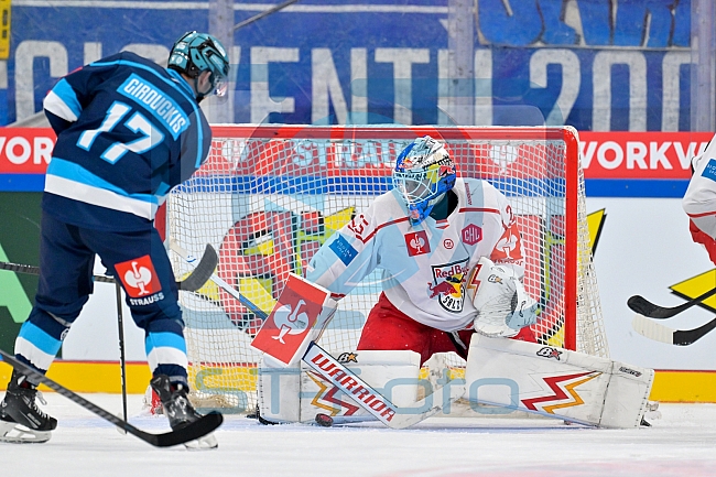 Hockey, Mens, CHL, Season 2025-2026, Regular Season, Round of 16, ERC Ingolstadt - EC Red Bull Salzburg, 12.11.2025