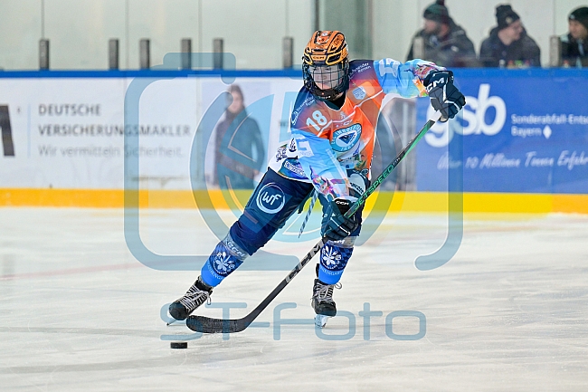 Eishockey, Frauen, DFEL, Saison 2024-2025, ERC Ingolstadt - HK Budapest Roster, 12.01.2025