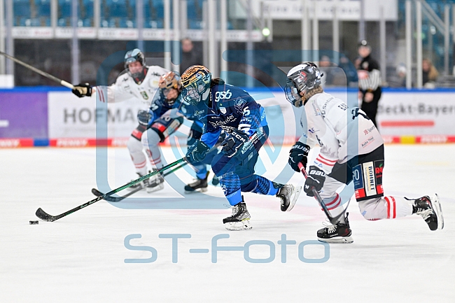 Eishockey, Frauen, DFEL, Saison 2024-2025, ERC Ingolstadt - ECDC Memmingen Indians, 16.11.2024