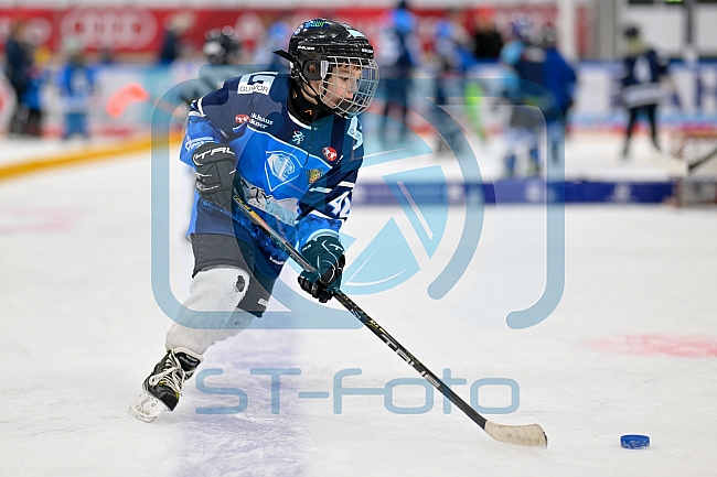 Eishockey, Saison 2025-2026, ERC Ingolstadt - Kids On Ice Day, 29.11.2025