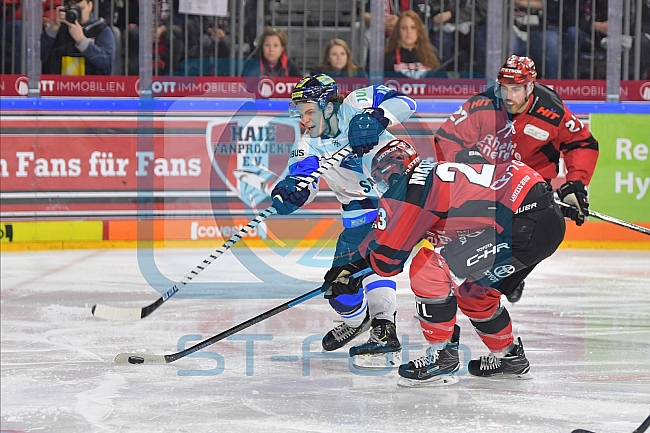 Koelner Haie vs ERC Ingolstadt, DEL, Deutsche Eishockey Liga, Playoffs, Viertelfinale, Spiel 7, 31.03.2019