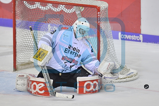 ERC Ingolstadt vs Koelner Haie, DEL, Deutsche Eishockey Liga, Playoffs, Viertelfinale, Spiel 2, 15.03.2019
