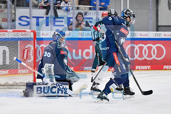 Eishockey, Herren, DEL, Saison 2024-2025, Playoffs Halbfinale, Spiel 5, ERC Ingolstadt - Kölner Haie, 11.04.2025