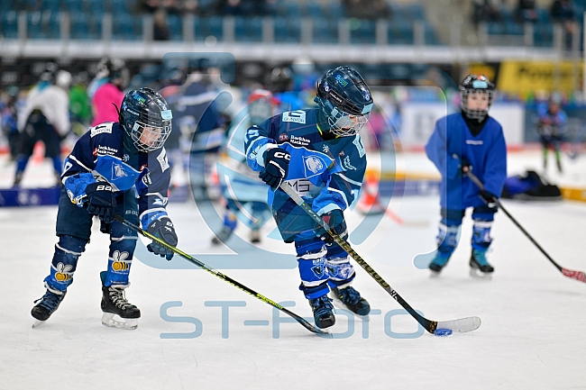 Eishockey, Saison 2025-2026, ERC Ingolstadt - Kids On Ice Day, 29.11.2025