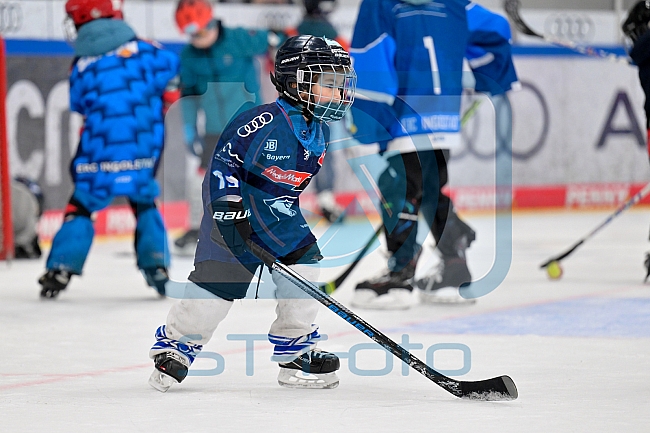 Eishockey, Saison 2025-2026, ERC Ingolstadt - Kids On Ice Day, 10.01.2026