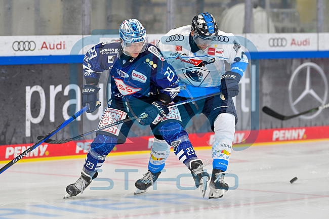 Eishockey, Herren, DEL, Saison 2024-2025, Vorbereitung, ERC Ingolstadt - Dresdner Eislöwen, 18.08.2024