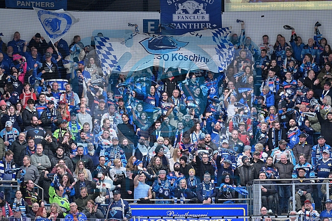 Eishockey, Herren, DEL, Saison 2025-2026, Spiel 44, ERC Ingolstadt - Dresdner Eislöwen, 27.01.2026
