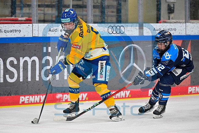 Eishockey, Frauen, DFEL, Saison 2025-2026, Testspiel, ERC Ingolstadt - HC Davos, 14.02.2026