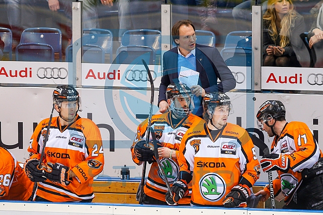 ERC Ingolstadt  - Grizzlys Wolfsburg, Eishockey, DEL, Deutsche Eishockey Liga, Spieltag 42, 31.01.2016