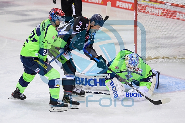 Eishockey, Herren, DEL, Saison 2020-2021, Straubing Tigers - ERC Ingolstadt, 31.01.2021
