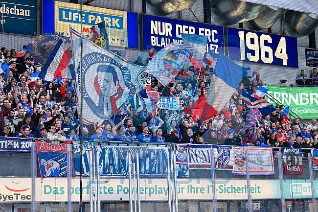 Eishockey, Herren, DEL, Saison 2025-2026, Spiel 50, ERC Ingolstadt - Adler Mannheim, 08.03.2026