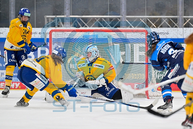 Eishockey, Frauen, DFEL, Saison 2025-2026, Testspiel, ERC Ingolstadt - HC Davos, 14.02.2026
