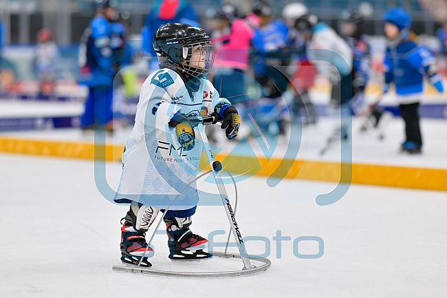 Eishockey, Saison 2025-2026, ERC Ingolstadt - Kids On Ice Day, 29.11.2025