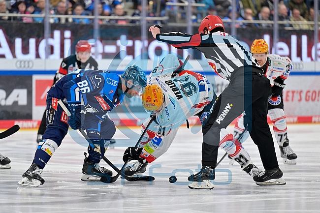 Eishockey, Herren, DEL, Saison 2025-2026, Spiel 35, ERC Ingolstadt - Pinguins Bremerhaven, 02.01.2026