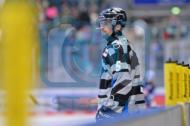 Eishockey, Herren, DEL, Saison 2024-2025, Vorbereitung, ERC Ingolstadt - Dresdner Eislöwen, 18.08.2024