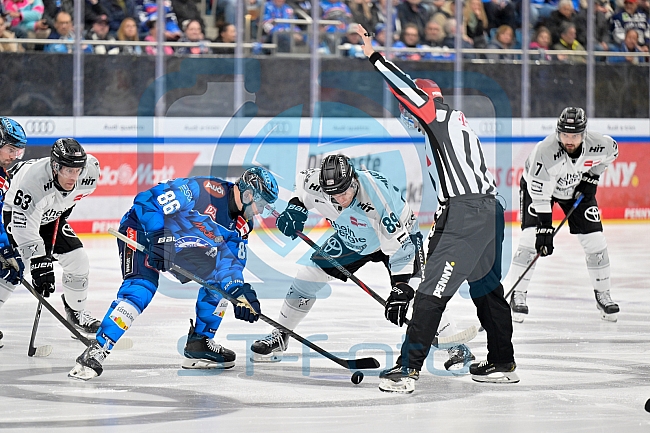 Eishockey, Herren, DEL, Saison 2025-2026, Spiel 16, ERC Ingolstadt - Kölner Haie, 31.10.2025
