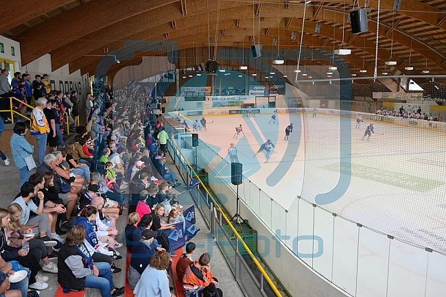 Eishockey, Herren, DEL, Saison 2023-2024, Vinschgau Cup, HC Innsbruck - ERC Ingolstadt, 27.08.2023