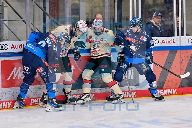 Eishockey, Herren, DEL, Saison 2024-2025, Playoffs Viertelfinale, Spiel 1, ERC Ingolstadt - Nürnberg Ice Tigers, 16.03.2025