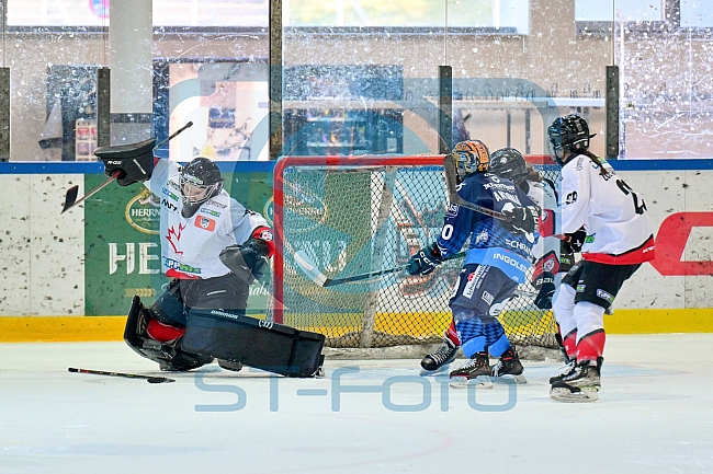 Eishockey, Frauen, DFEL, Saison 2024-2025, ERC Ingolstadt - HK Budapest Roster, 12.01.2025