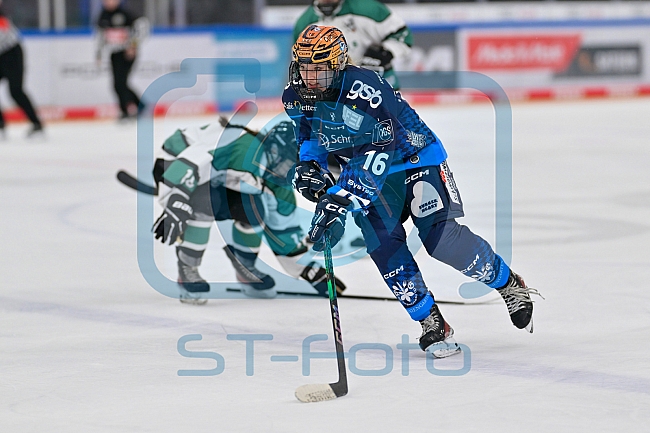 Eishockey, Frauen, European Womens Hockey League, Saison 2024-2025, ERC Ingolstadt - Lakers Kärnten, 13.09.2024