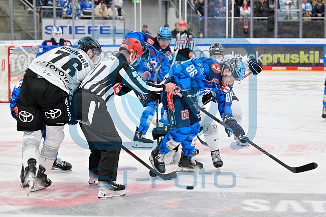 Eishockey, Herren, DEL, Saison 2025-2026, Spiel 16, ERC Ingolstadt - Kölner Haie, 31.10.2025