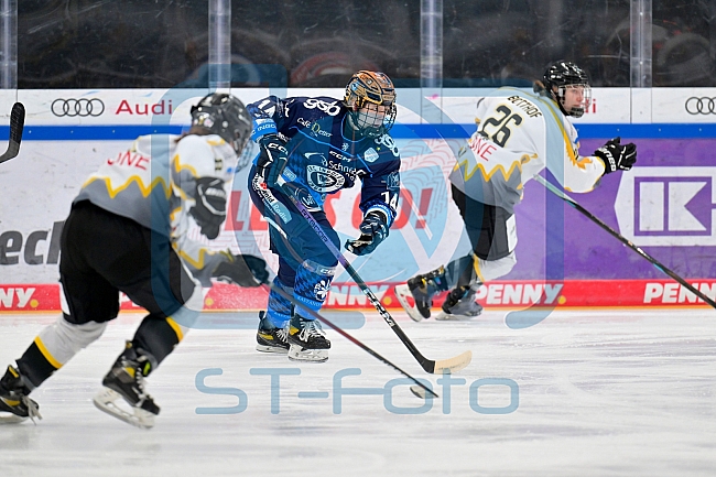 Eishockey, Frauen, DFEL, Saison 2024-2025, ERC Ingolstadt - Mad Dogs Mannheim, 23.11.2024
